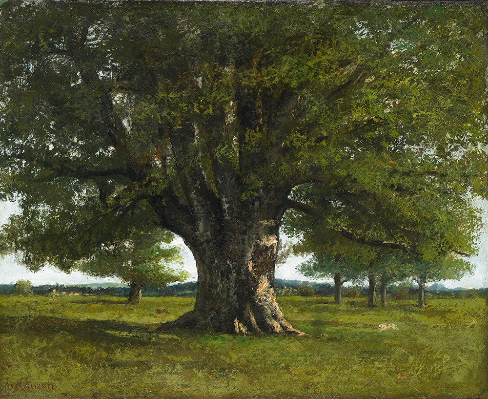 Image le chêne de Flagey